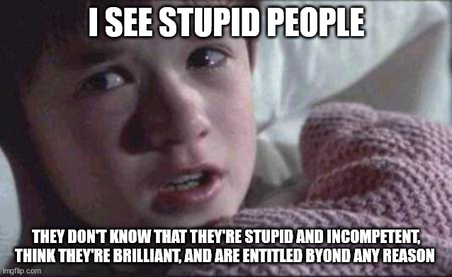 I see stupid people | I SEE STUPID PEOPLE; THEY DON'T KNOW THAT THEY'RE STUPID AND INCOMPETENT, THINK THEY'RE BRILLIANT, AND ARE ENTITLED BYOND ANY REASON | image tagged in i see stupid people,entitlement | made w/ Imgflip meme maker