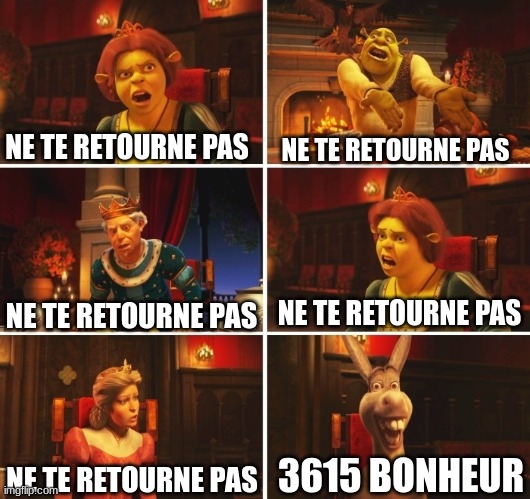 Shrek Fiona Harold Donkey | NE TE RETOURNE PAS; NE TE RETOURNE PAS; NE TE RETOURNE PAS; NE TE RETOURNE PAS; 3615 BONHEUR; NE TE RETOURNE PAS | image tagged in shrek fiona harold donkey | made w/ Imgflip meme maker