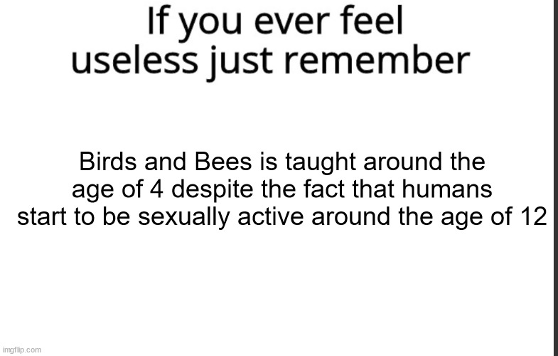 If you ever feel useless remember this |  Birds and Bees is taught around the age of 4 despite the fact that humans start to be sexually active around the age of 12 | image tagged in if you ever feel useless remember this,memes,conservatives | made w/ Imgflip meme maker