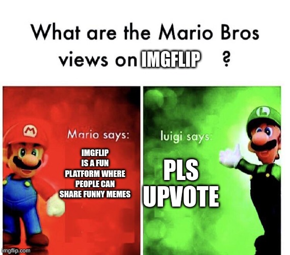 What are the mario bros views on:      ? | IMGFLIP; IMGFLIP IS A FUN PLATFORM WHERE PEOPLE CAN SHARE FUNNY MEMES; PLS UPVOTE | image tagged in what are the mario bros views on | made w/ Imgflip meme maker