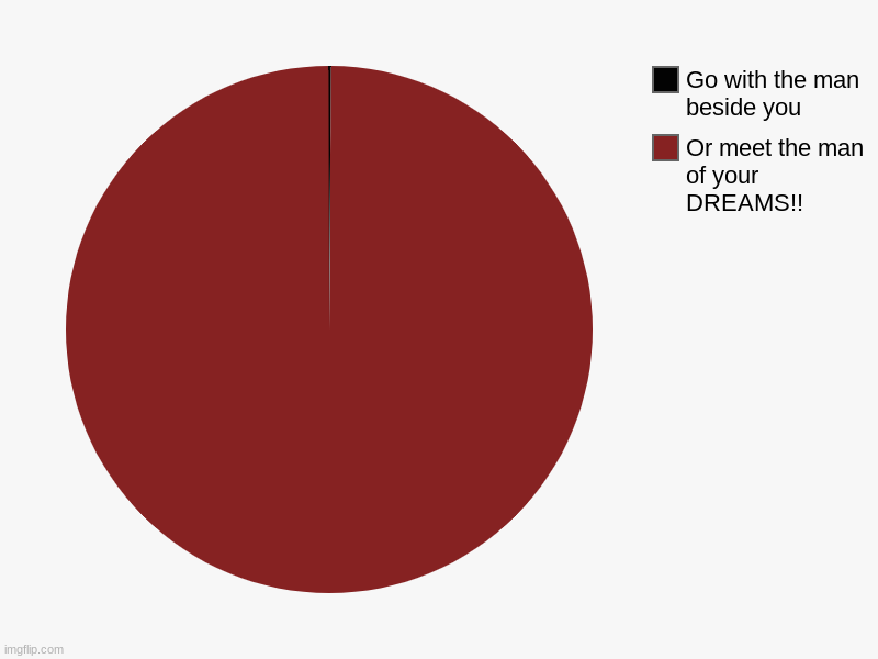Or meet the man of your DREAMS!!, Go with the man beside you | image tagged in charts,pie charts | made w/ Imgflip chart maker