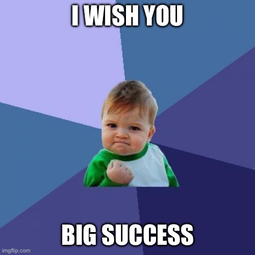 Success Kid Meme | I WISH YOU BIG SUCCESS | image tagged in memes,success kid | made w/ Imgflip meme maker