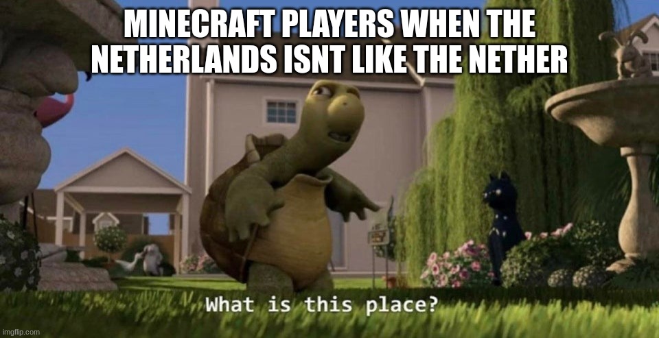 minecrafe | MINECRAFT PLAYERS WHEN THE NETHERLANDS ISN'T LIKE THE NETHER | image tagged in what is this place,minecraft | made w/ Imgflip meme maker