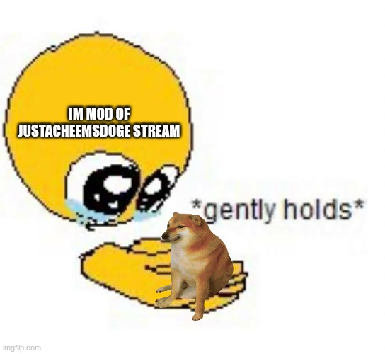 i will surender my life to the stream | IM MOD OF JUSTACHEEMSDOGE STREAM | image tagged in gently holds emoji | made w/ Imgflip meme maker