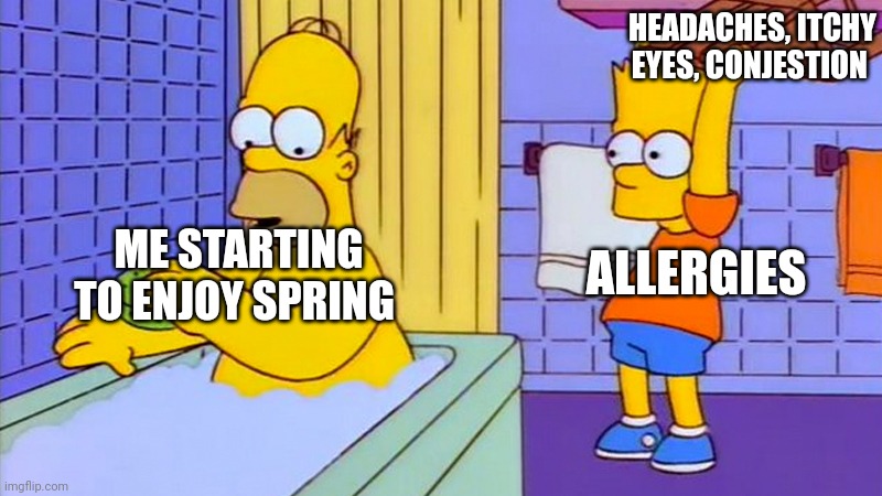 Allergies | HEADACHES, ITCHY EYES, CONJESTION; ALLERGIES; ME STARTING TO ENJOY SPRING | image tagged in bart hitting homer with a chair,allergies | made w/ Imgflip meme maker