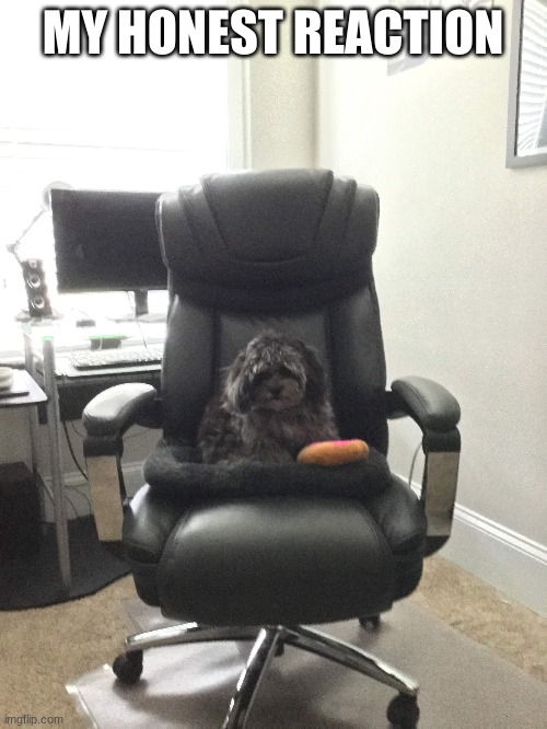 MY HONEST REACTION | made w/ Imgflip meme maker