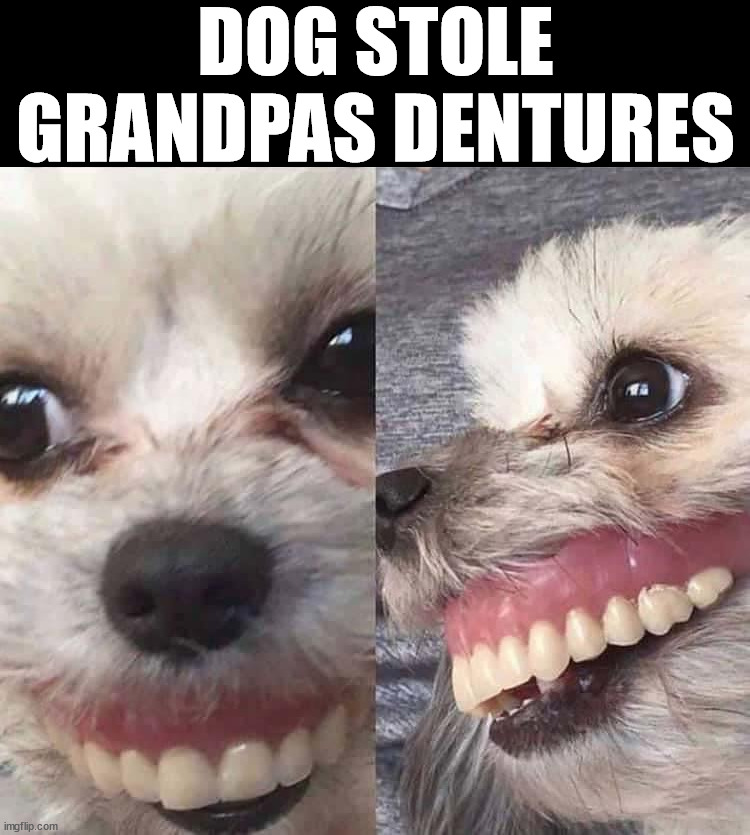 DOG STOLE GRANDPAS DENTURES | made w/ Imgflip meme maker