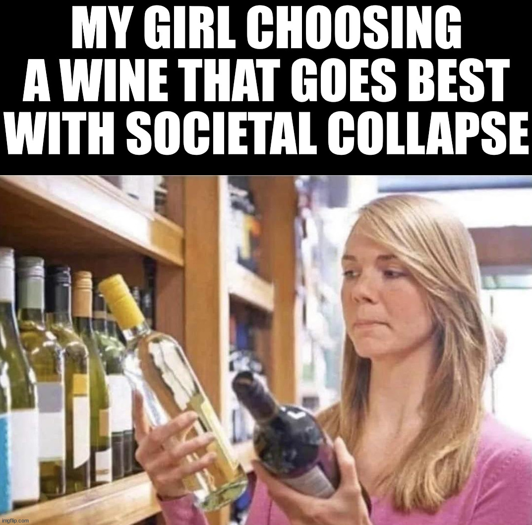 MY GIRL CHOOSING A WINE THAT GOES BEST WITH SOCIETAL COLLAPSE | image tagged in political meme | made w/ Imgflip meme maker