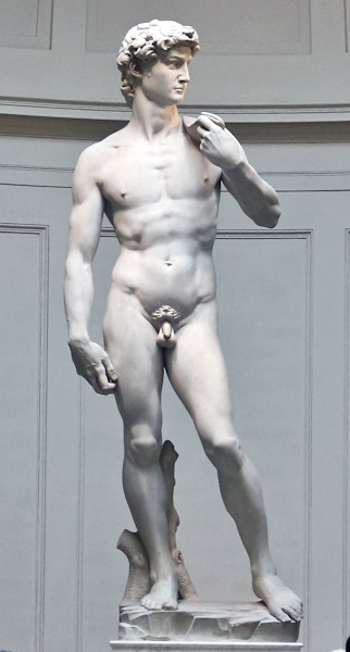 Michelangelo's David Blank Meme Template