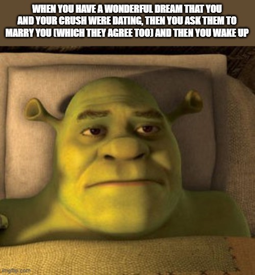 I honestly hate this | WHEN YOU HAVE A WONDERFUL DREAM THAT YOU AND YOUR CRUSH WERE DATING, THEN YOU ASK THEM TO MARRY YOU (WHICH THEY AGREE TOO) AND THEN YOU WAKE UP | image tagged in crush,when your crush,shrek,relatable,i hate it when,true story | made w/ Imgflip meme maker