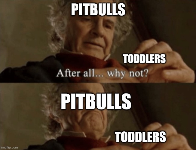 After all.. why not? | PITBULLS; TODDLERS; PITBULLS; TODDLERS | image tagged in after all why not | made w/ Imgflip meme maker
