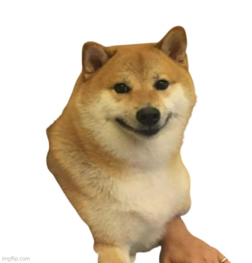 Happy Cheems | image tagged in happy cheems | made w/ Imgflip meme maker