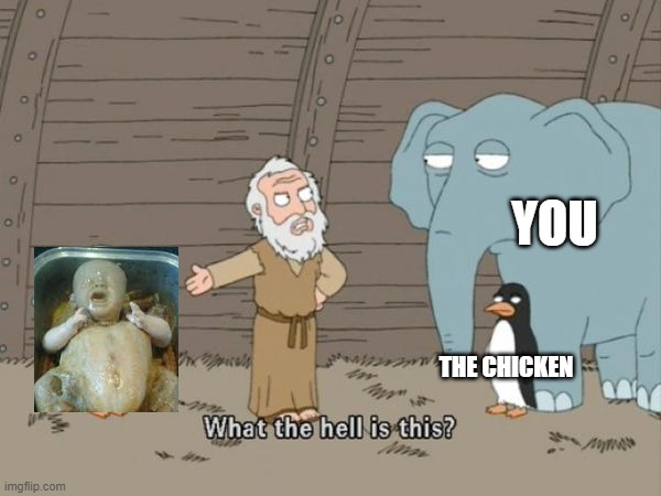 What the hell is this? | YOU THE CHICKEN | image tagged in what the hell is this | made w/ Imgflip meme maker
