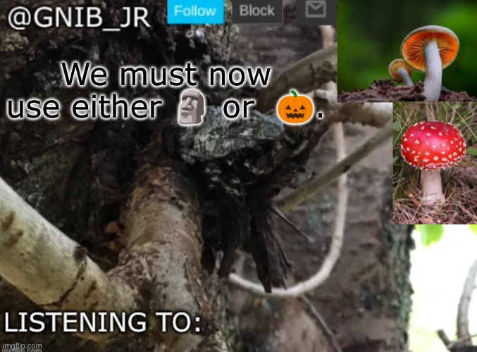 NO SKULL FACE | We must now use either 🗿 or  🎃. | image tagged in gnib_jr's new temp | made w/ Imgflip meme maker