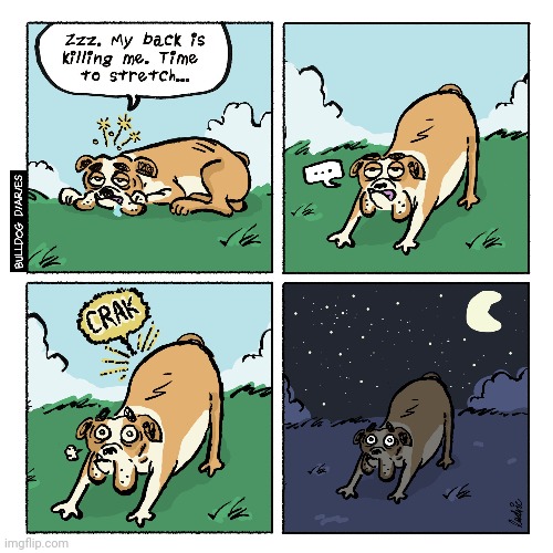 A crack during stretching | image tagged in crack,stretching,stretch,bulldog,comics,comics/cartoons | made w/ Imgflip meme maker