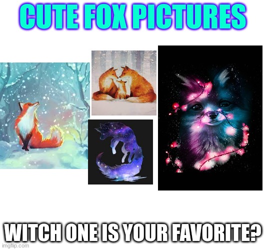 Fox pixtures | CUTE FOX PICTURES; WITCH ONE IS YOUR FAVORITE? | image tagged in cute,fox,winter,profile | made w/ Imgflip meme maker