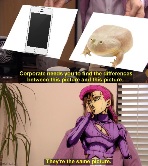 They're The Same Picture | image tagged in memes,they're the same picture,jojo's bizarre adventure,jojo doppio,frog,phone | made w/ Imgflip meme maker