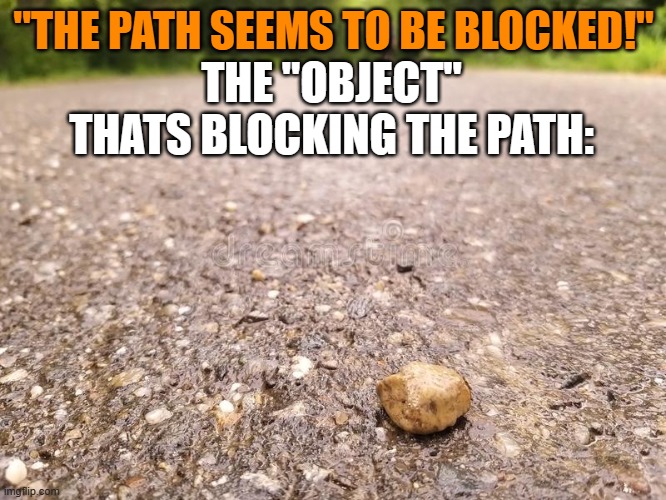 Ik this is exaggerating, but still true ngl XD | "THE PATH SEEMS TO BE BLOCKED!"; THE "OBJECT" THATS BLOCKING THE PATH: | image tagged in video games,video game,path | made w/ Imgflip meme maker