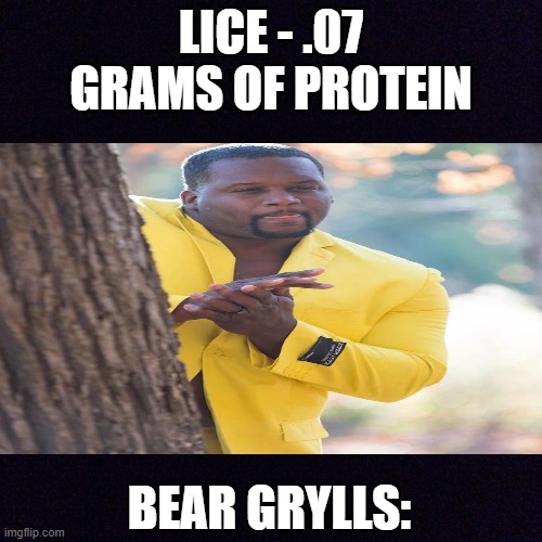 PrOtEiN | LICE - .07 GRAMS OF PROTEIN; BEAR GRYLLS: | image tagged in bear grylls | made w/ Imgflip meme maker