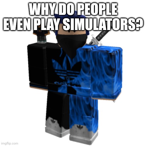 Zero Frost | WHY DO PEOPLE EVEN PLAY SIMULATORS? | image tagged in zero frost | made w/ Imgflip meme maker