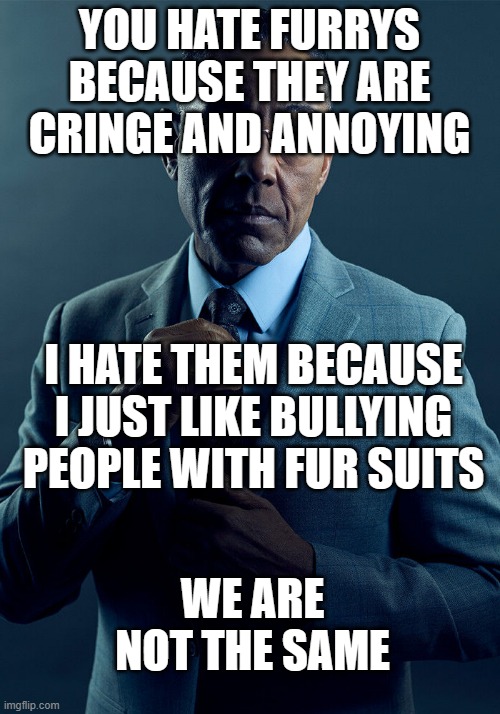 Maybe we are maybe we arent | YOU HATE FURRYS BECAUSE THEY ARE CRINGE AND ANNOYING; I HATE THEM BECAUSE I JUST LIKE BULLYING PEOPLE WITH FUR SUITS; WE ARE NOT THE SAME | image tagged in gus fring we are not the same,anti furry | made w/ Imgflip meme maker
