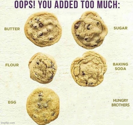 tell me this isn't true | HUNGRY BROTHERS | image tagged in oops you added too much,cookies,cooking | made w/ Imgflip meme maker