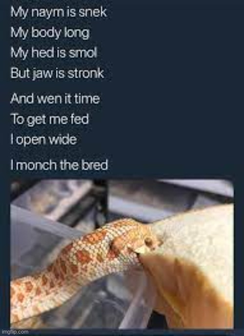 image tagged in snek,snake,poem,bred,bread,rhymes | made w/ Imgflip meme maker