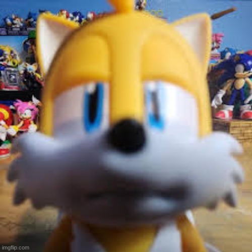 tails stare | image tagged in tails stare | made w/ Imgflip meme maker