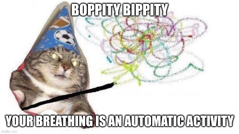 Wizard Cat | BOPPITY BIPPITY YOUR BREATHING IS AN AUTOMATIC ACTIVITY | image tagged in wizard cat | made w/ Imgflip meme maker