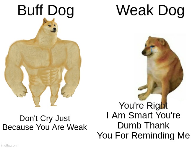 Buff Doge vs. Cheems | Buff Dog; Weak Dog; You're Right I Am Smart You're Dumb Thank You For Reminding Me; Don't Cry Just Because You Are Weak | image tagged in memes,buff doge vs cheems | made w/ Imgflip meme maker