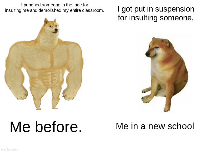I AM- Wait wym I gotta go to the office. | I punched someone in the face for insulting me and demolished my entire classroom. I got put in suspension for insulting someone. Me before. Me in a new school | image tagged in memes,buff doge vs cheems | made w/ Imgflip meme maker