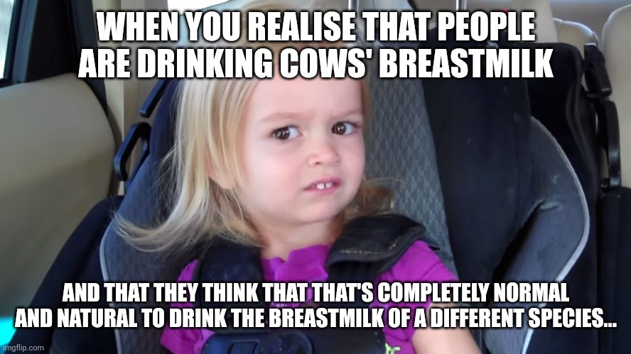 girl in car seat | WHEN YOU REALISE THAT PEOPLE ARE DRINKING COWS' BREASTMILK; AND THAT THEY THINK THAT THAT'S COMPLETELY NORMAL AND NATURAL TO DRINK THE BREASTMILK OF A DIFFERENT SPECIES... | image tagged in girl in car seat,vegan,vegans,animal rights,animals,cows | made w/ Imgflip meme maker