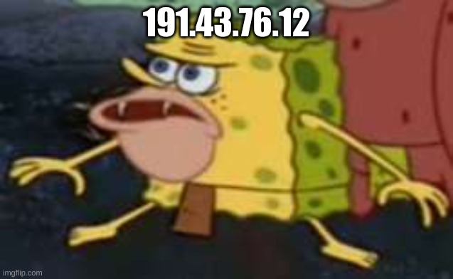 Spongegar Meme | 191.43.76.12 | image tagged in memes,spongegar | made w/ Imgflip meme maker