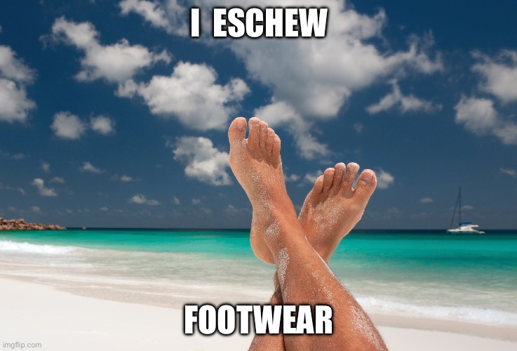 No shoes | I  ESCHEW; FOOTWEAR | image tagged in beach feet,footwear,shoes | made w/ Imgflip meme maker