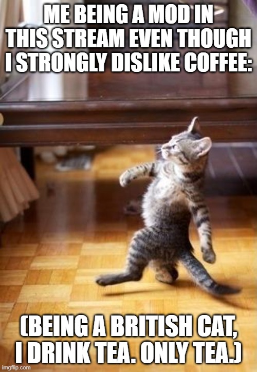 If you like coffee, that is fine!! I do not mean to offend anyone! | ME BEING A MOD IN THIS STREAM EVEN THOUGH I STRONGLY DISLIKE COFFEE:; (BEING A BRITISH CAT, I DRINK TEA. ONLY TEA.) | image tagged in memes,cool cat stroll,not to offend | made w/ Imgflip meme maker
