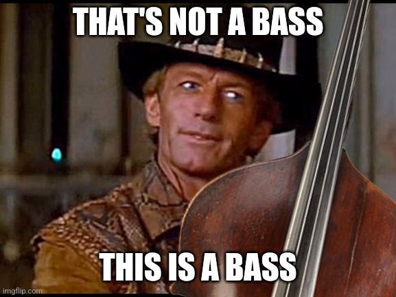 THAT'S NOT A BASS; THIS IS A BASS | made w/ Imgflip meme maker