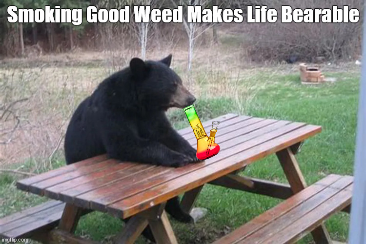 Smoking Good Weed Makes ‘Life Bearable | image tagged in bear,bears,weed,marijuana,funny,memes | made w/ Imgflip meme maker