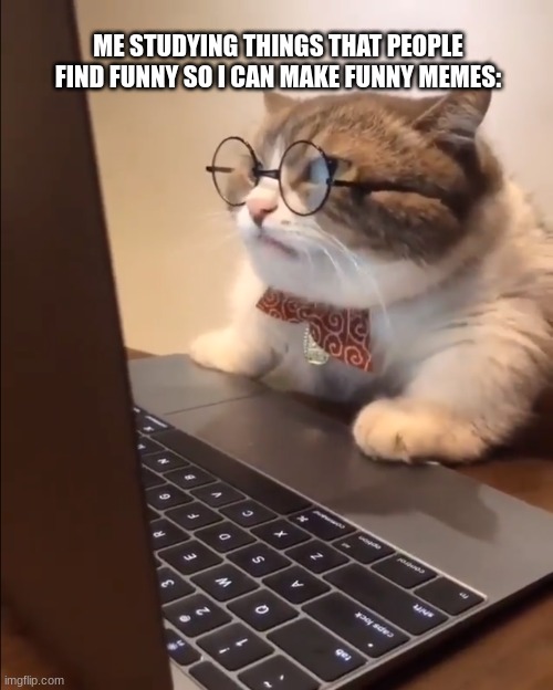 meme researcher | ME STUDYING THINGS THAT PEOPLE FIND FUNNY SO I CAN MAKE FUNNY MEMES: | image tagged in research cat,memes | made w/ Imgflip meme maker