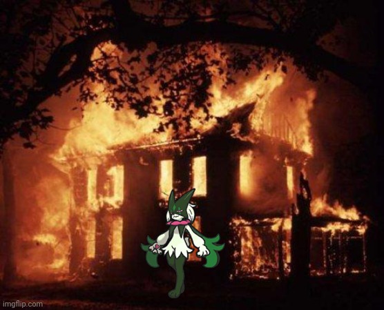 Burning House | image tagged in burning house,frost,meowscarada | made w/ Imgflip meme maker