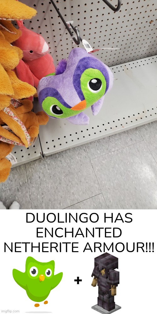Duolingo, the slayer of non-spanish speakers | DUOLINGO HAS ENCHANTED NETHERITE ARMOUR!!! + | image tagged in duolingo,netherite,armor,minecraft | made w/ Imgflip meme maker