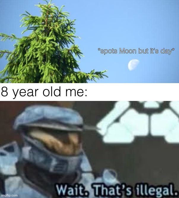 image tagged in memes,funny | made w/ Imgflip meme maker