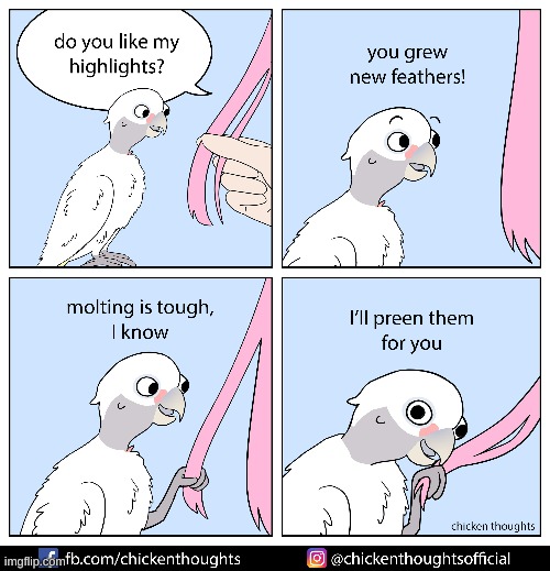 image tagged in comics | made w/ Imgflip meme maker