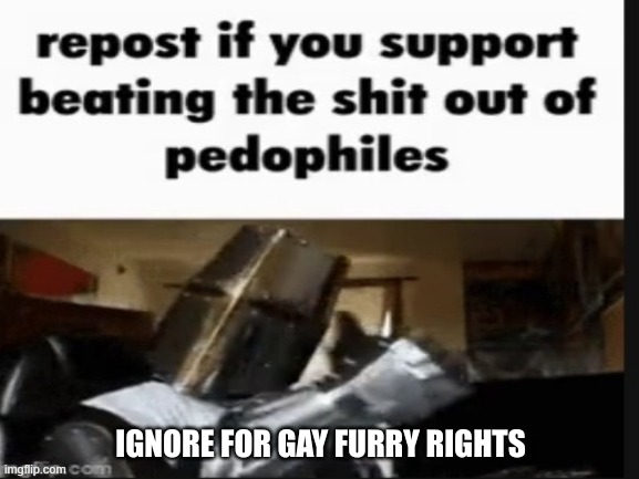 Well? What are you waiting for, soldier? Repost it! | IGNORE FOR GAY FURRY RIGHTS | image tagged in repost if you support beating the shit out of pedophiles | made w/ Imgflip meme maker