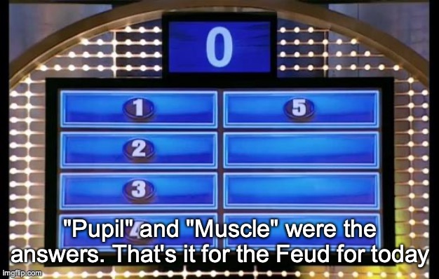 family feud | "Pupil" and "Muscle" were the answers. That's it for the Feud for today | image tagged in family feud | made w/ Imgflip meme maker