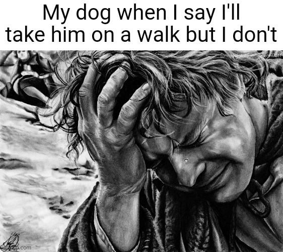 Meme #471 | My dog when I say I'll take him on a walk but I don't | image tagged in dogs,so true memes,memes,sad,despair,death | made w/ Imgflip meme maker