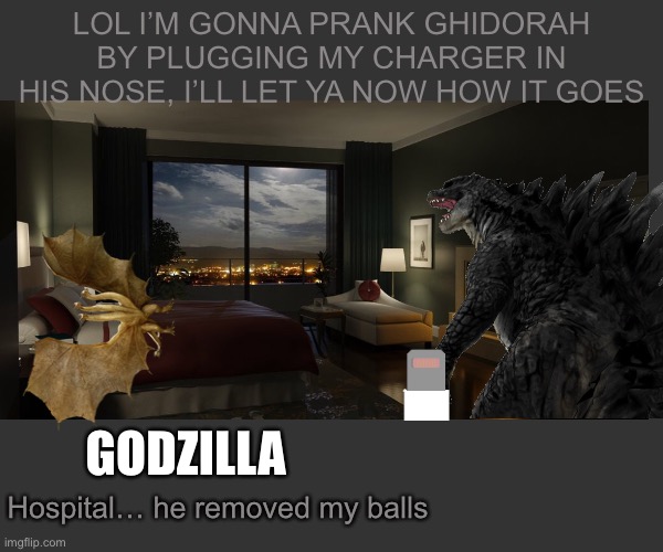 LOL I’M GONNA PRANK GHIDORAH BY PLUGGING MY CHARGER IN HIS NOSE, I’LL LET YA NOW HOW IT GOES; GODZILLA; Hospital… he removed my balls | image tagged in godzilla,balls,king ghidorah,oof | made w/ Imgflip meme maker