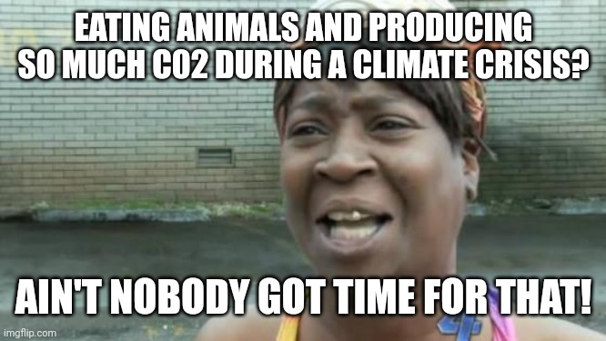 Sweet Brown | EATING ANIMALS AND PRODUCING SO MUCH C02 DURING A CLIMATE CRISIS? AIN'T NOBODY GOT TIME FOR THAT! | image tagged in sweet brown,environmental,environment,vegan,fun,environmental protection agency | made w/ Imgflip meme maker