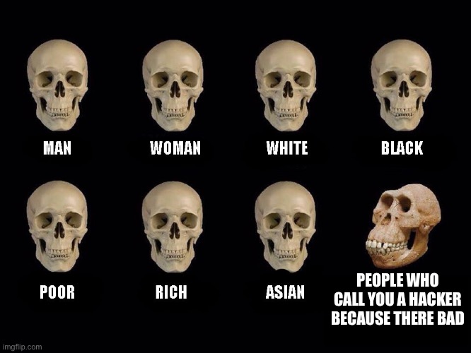 Skulls | PEOPLE WHO CALL YOU A HACKER BECAUSE THERE BAD | image tagged in memes | made w/ Imgflip meme maker