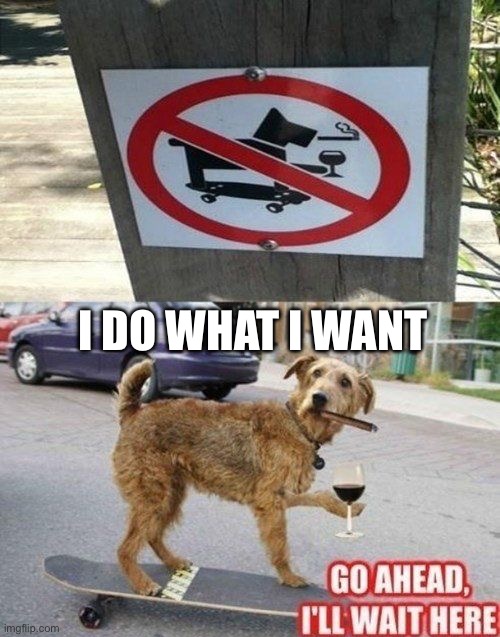 Do what I want | I DO WHAT I WANT | image tagged in what i want,im gonna end this mans whole career,dog,smoking,skateboarding | made w/ Imgflip meme maker