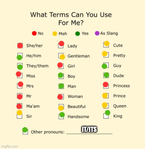 I'm bored so yeah | IT/ITS | image tagged in pronouns sheet,idk | made w/ Imgflip meme maker